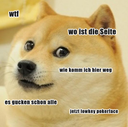 Meme: ängstlich blickender Hund